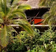 El Alquimista Yoga & Spa hotel detail image 3