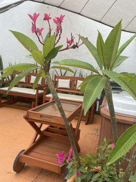 Colibrí Hotel hotel detail image 2