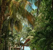 Hotel Villas Caracol hotel detail image 5