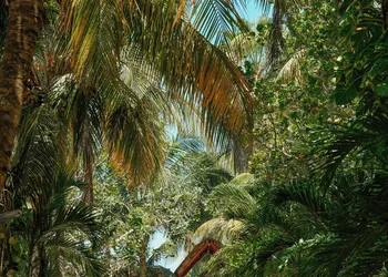 Hotel Villas Caracol hotel thumbnail 5