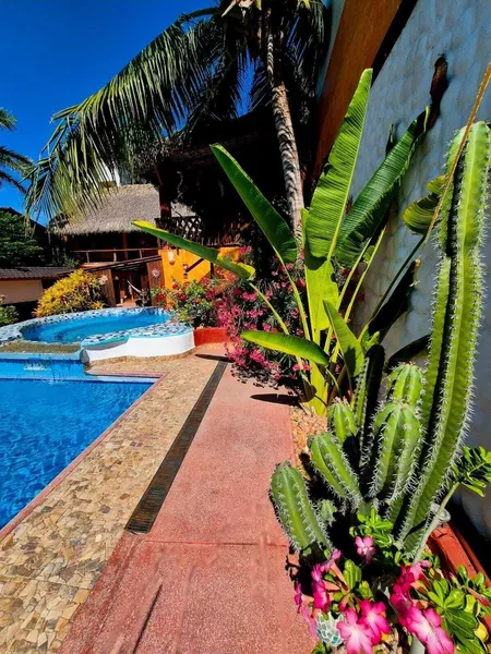 Hotelito Swiss Oasis - Adults Only hotel detail image 2