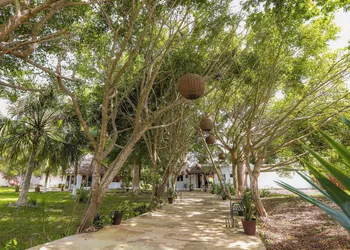 Mayan Secret Hotel Boutique hotel thumbnail 3
