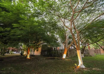 Mayan Secret Hotel Boutique hotel thumbnail 8