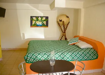 Hotel San Carlos Yautepec hotel thumbnail 4