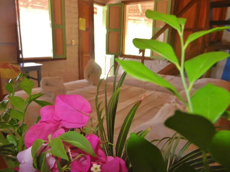 Altamira Mazunte hotel detail image 6