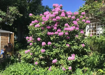 The Stella Rose B&B hotel thumbnail 6
