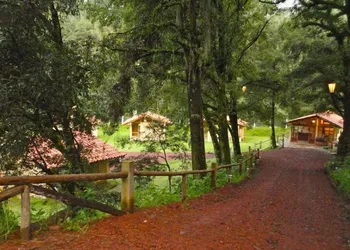 Cabañas La Cascada hotel thumbnail 3