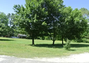 Gold Pine Inn Motel hotel thumbnail 6