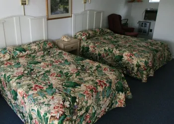 Cabin City Motel hotel thumbnail 5