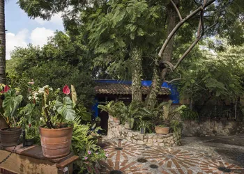 Orchidelirium Casa Hotel & Salud Estetica hotel thumbnail 4
