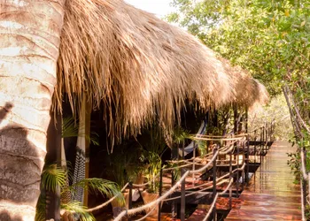 Hotel Noga hotel thumbnail 6