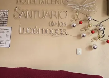 Hotel Milenio hotel thumbnail 3