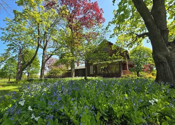 Chanticleer Guest House hotel thumbnail 3