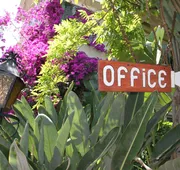 La Paloma Las Flores hotel detail image 3