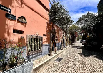 Boutique Hotel Casa Camellia hotel thumbnail 2