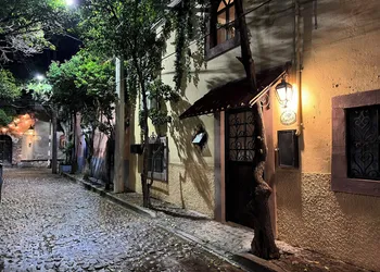 Boutique Hotel Casa Camellia hotel thumbnail 3