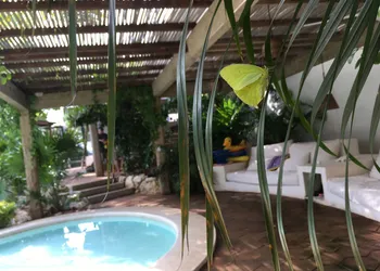 Villa Maria B&B hotel thumbnail 3