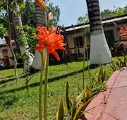 Villa Colibri Bacalar hotel detail image 4