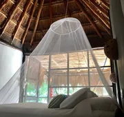 Tunich Jungle Cabañas hotel detail image 7
