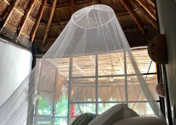 Tunich Jungle Cabañas hotel thumbnail 7