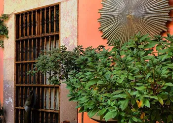 Casa Eugenia Hotel hotel thumbnail 4