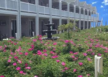 Ocean Walk Hotel hotel thumbnail 2