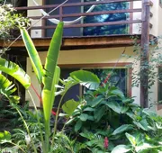 Dolce Caribe B&B hotel detail image 3
