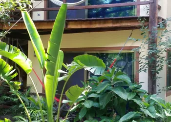 Dolce Caribe B&B hotel thumbnail 3
