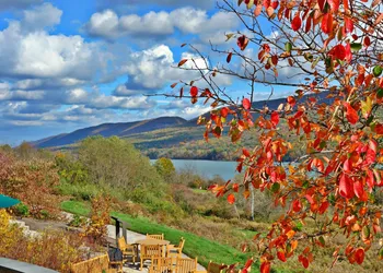 Nature Inn At Bald Eagle hotel thumbnail 5