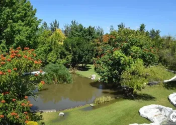 Rancho Macloy Hotel Spa & Social Events hotel thumbnail 4