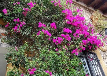 Hotel Posada San Jerónimo hotel thumbnail 2