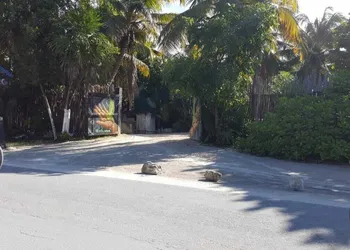 Playa Las Palmas Glamping Tulum hotel thumbnail 3