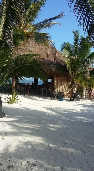 Playa Las Palmas Glamping Tulum hotel detail image 6