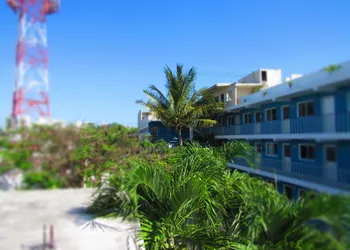Blue Coconut Cancun Hotel hotel thumbnail 2