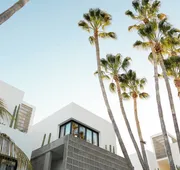 Drift San Jose del Cabo, a Member of Design Hotels hotel detail image 3