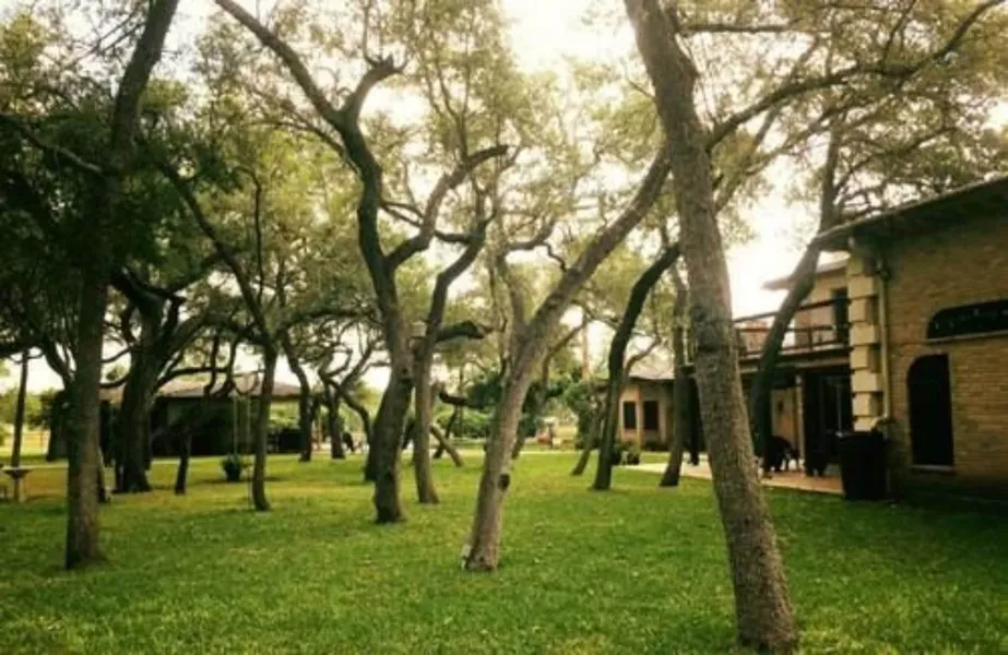 Live Oaks Bed and Breakfast hotel detail image 2