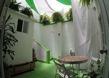 Distrito Condesa Rooms and Studios hotel thumbnail 4