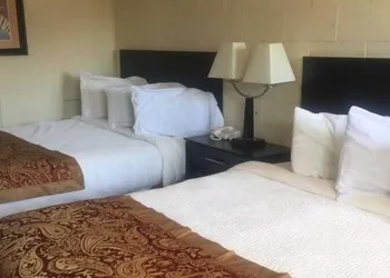 Park Motel hotel thumbnail 3