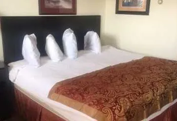 Park Motel hotel thumbnail 4