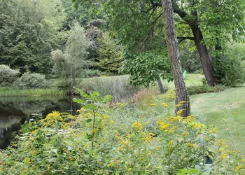 King Hill Inn & Kitchen hotel thumbnail 5