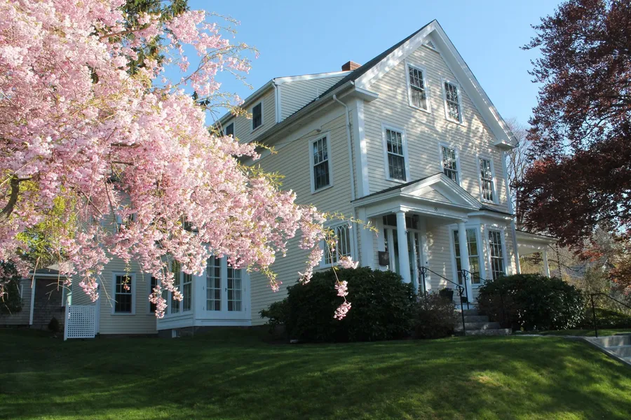 Beech Tree Bed and Breakfast hotel detail image 2