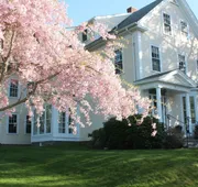Beech Tree Bed and Breakfast hotel detail image 3