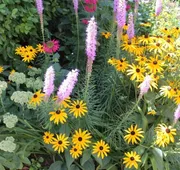Beech Tree Bed and Breakfast hotel detail image 5