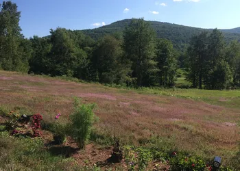 Georgian Garden Inn hotel thumbnail 6