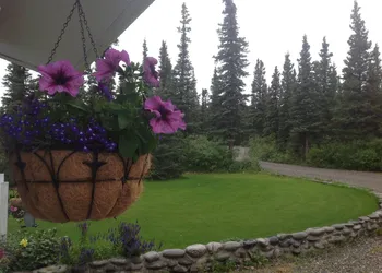 Denali Primrose B&B hotel thumbnail 6