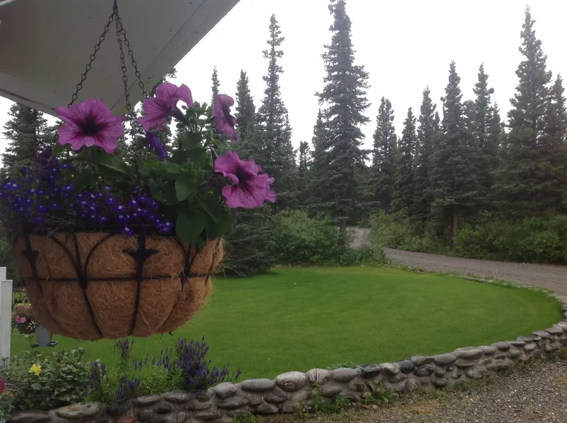 Denali Primrose B&B hotel detail image 6