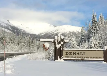 Denali Primrose B&B hotel thumbnail 7