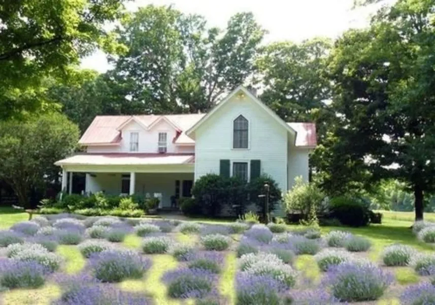 Mulberry Lavender Farm and B&B hotel detail image 6