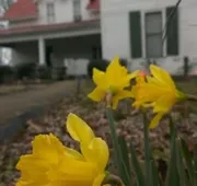 Mulberry Lavender Farm and B&B hotel detail image 7