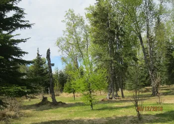 Whispering Winds Retreat B&B hotel thumbnail 6
